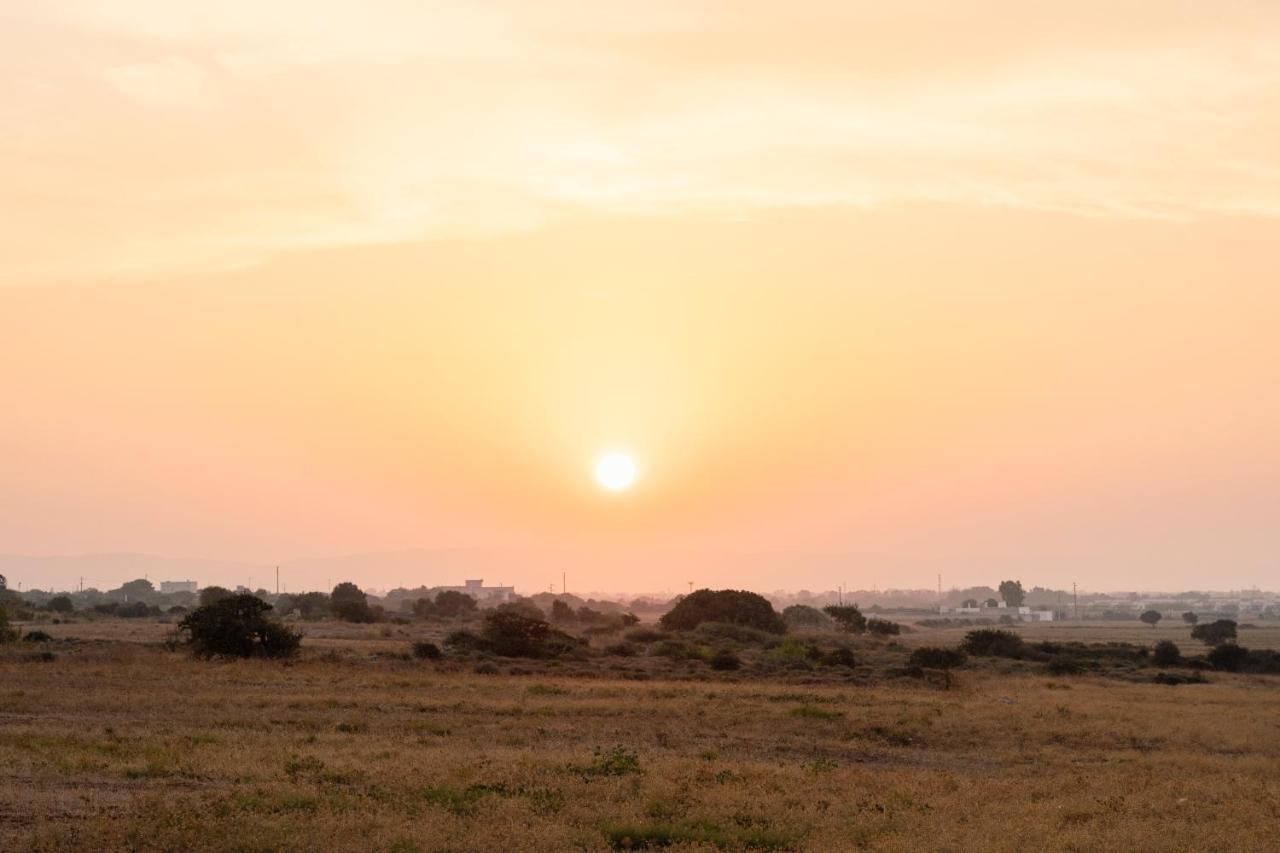 אוסטוני Masseria Gorgognolo מראה חיצוני תמונה